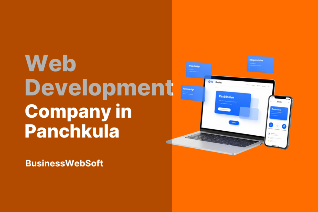 Web Development Company in Panchkula by Business WebSoft providing custom website development services